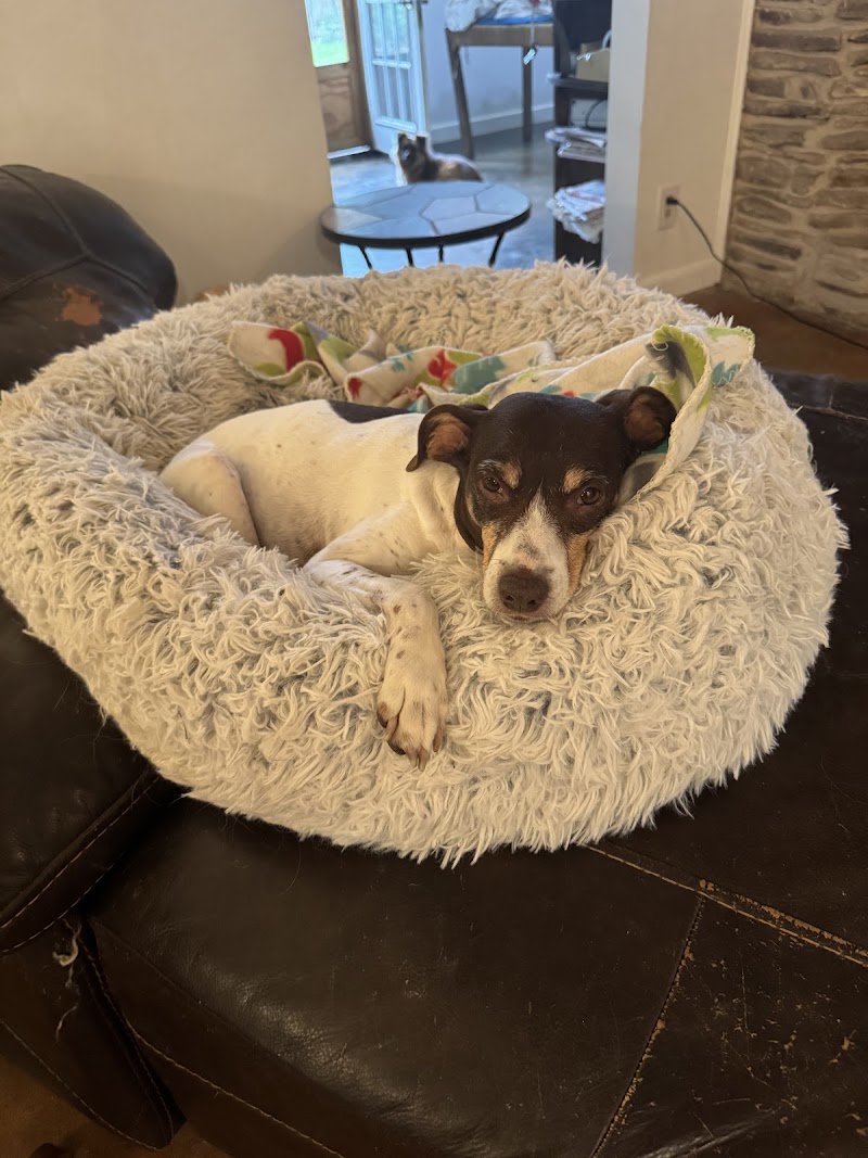 Pet Specialists of Austin