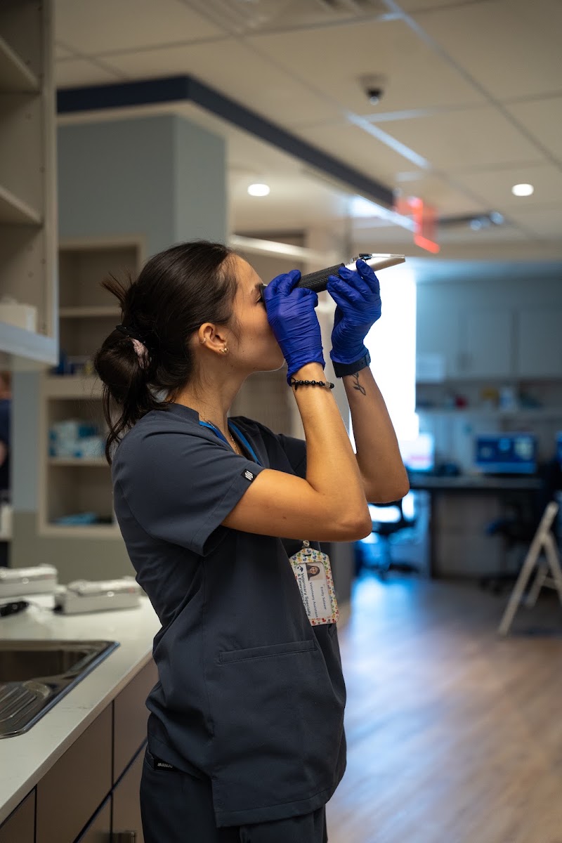 Veterinary Specialty & Emergency Center (VSEC)