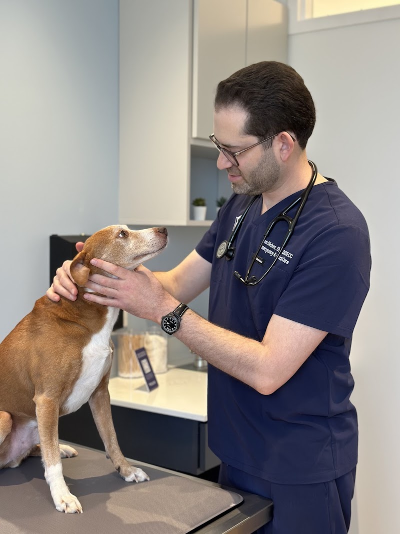 Veterinary Specialty & Emergency Center (VSEC)