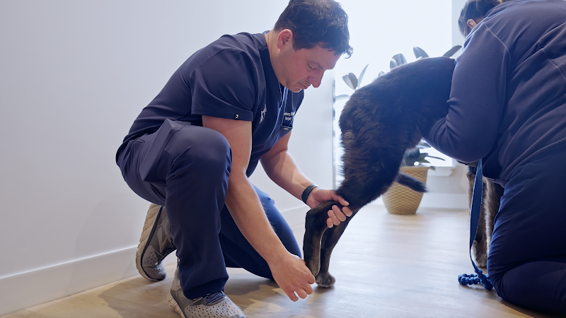 Veterinary Specialty & Emergency Center (VSEC)