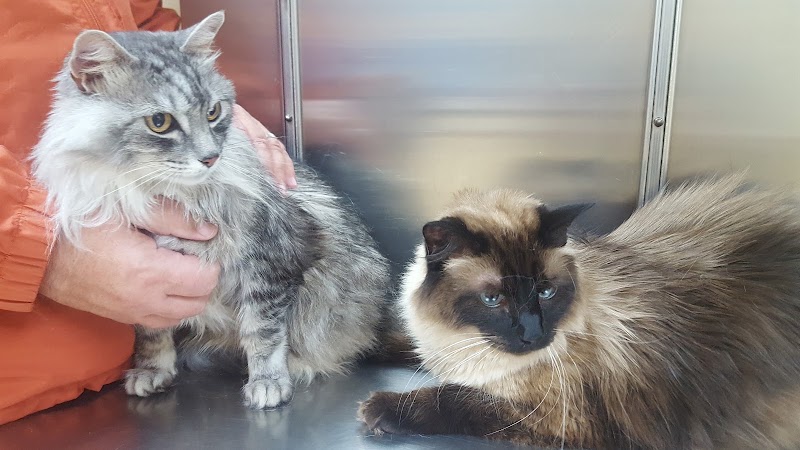 VCA North Portland Veterinary Hospital