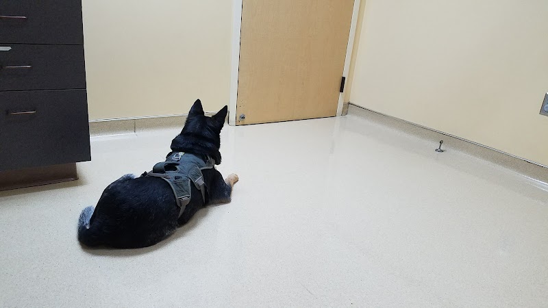 VCA North Portland Veterinary Hospital