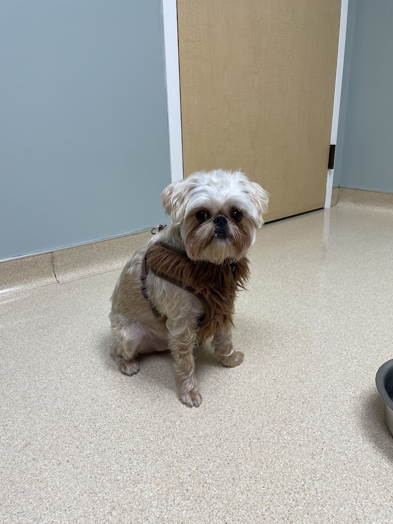 VCA North Portland Veterinary Hospital