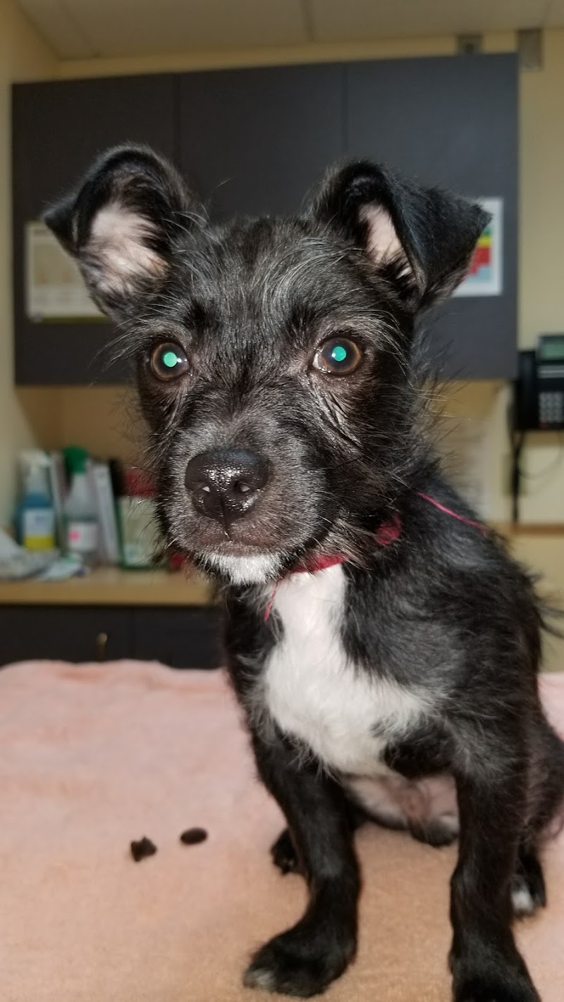 VCA North Portland Veterinary Hospital
