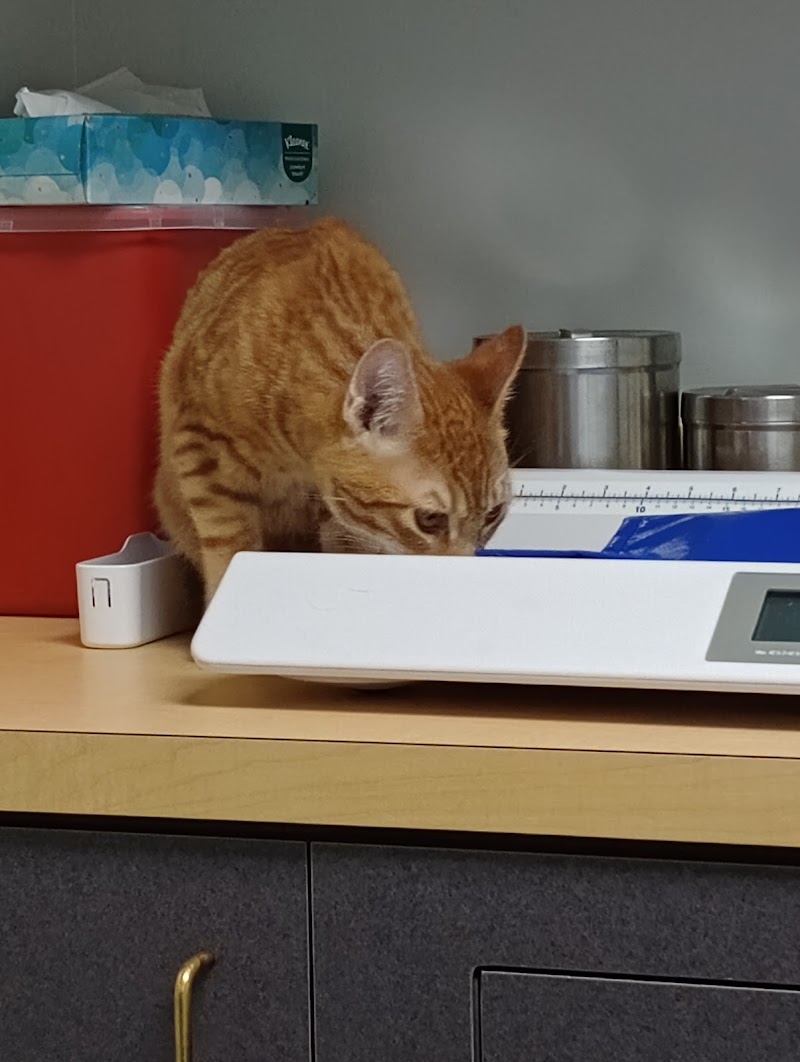 North Portland Veterinary Hospital: Fletcher Chris DVM