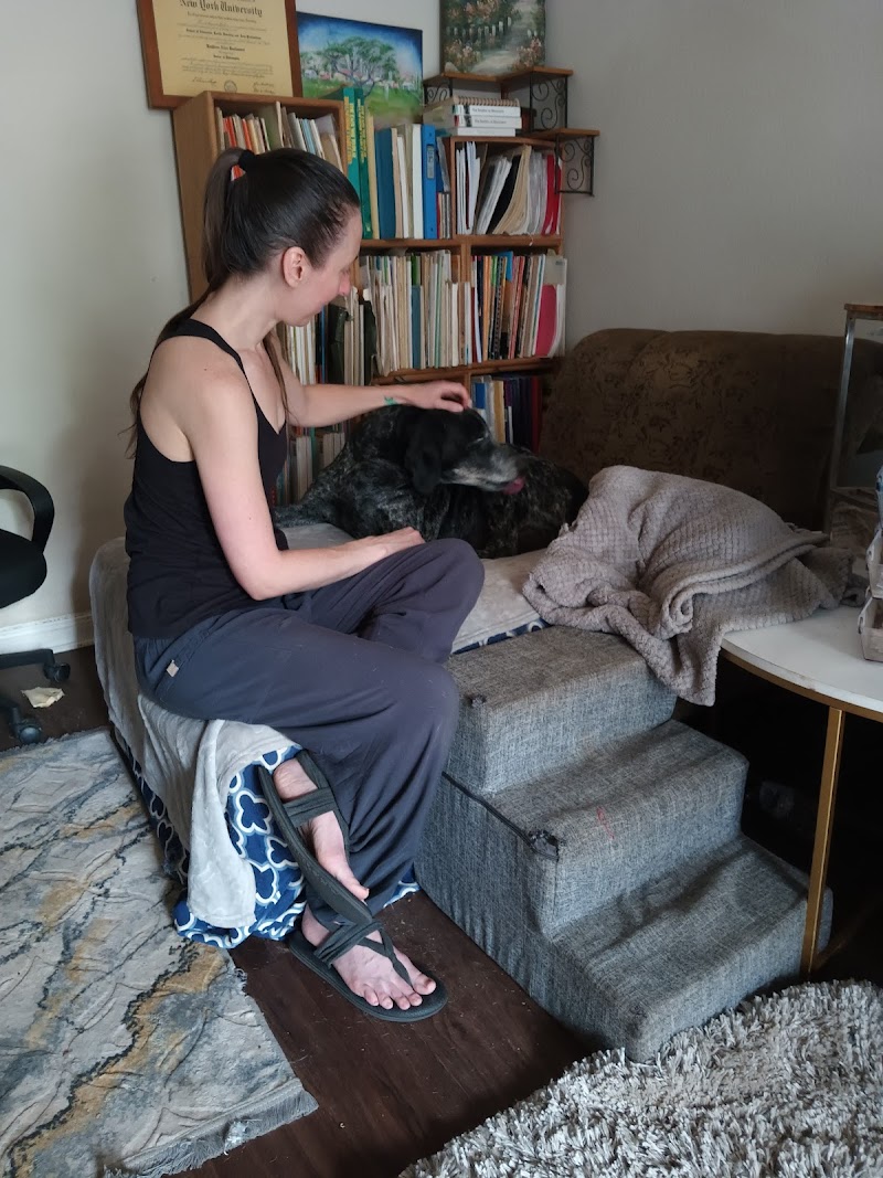 Spirit Vet ATX House Calls & Consulting