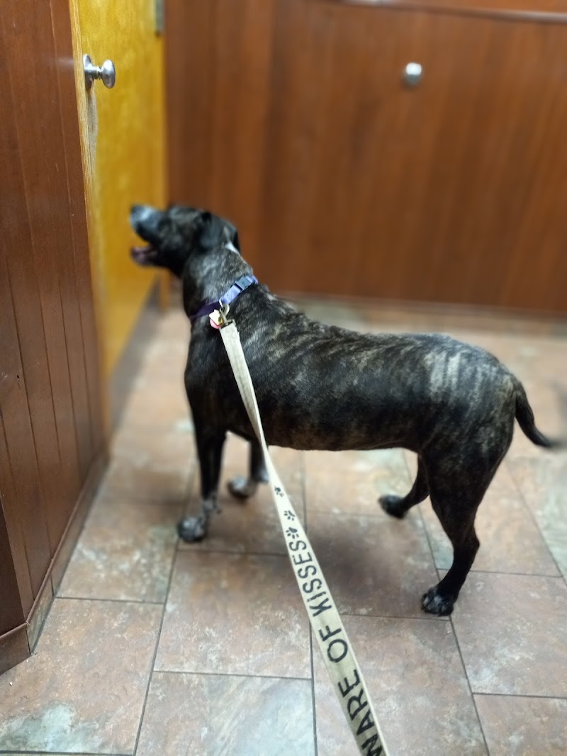 Woburn Animal Hospital