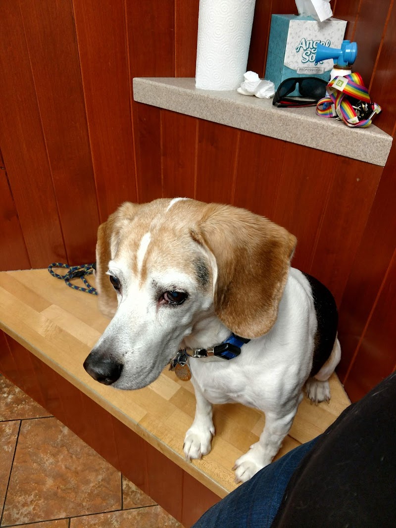 Woburn Animal Hospital