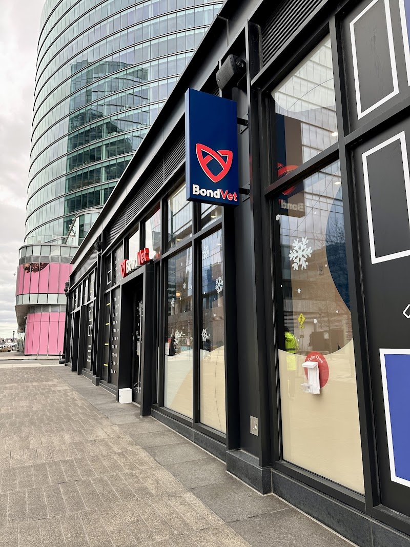 Bond Vet - Seaport