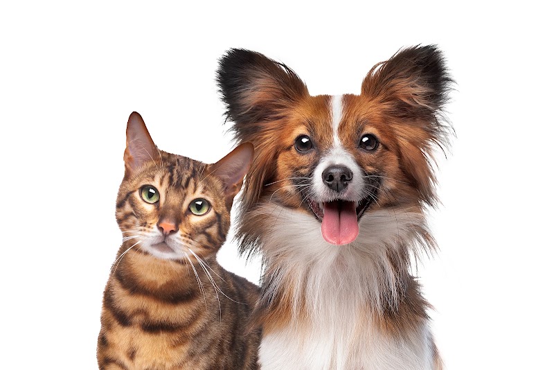 Neighborhood Veterinary Centers - South Post Oak