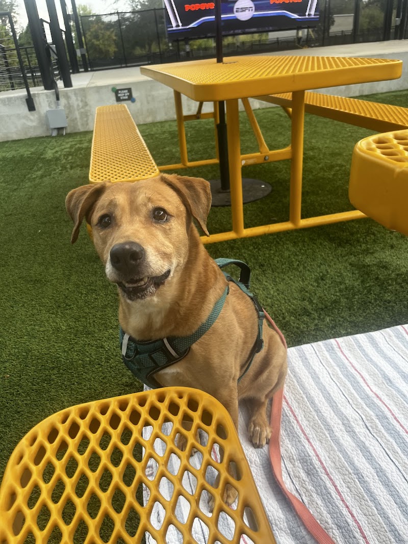 Neighborhood Veterinary Centers - South Post Oak