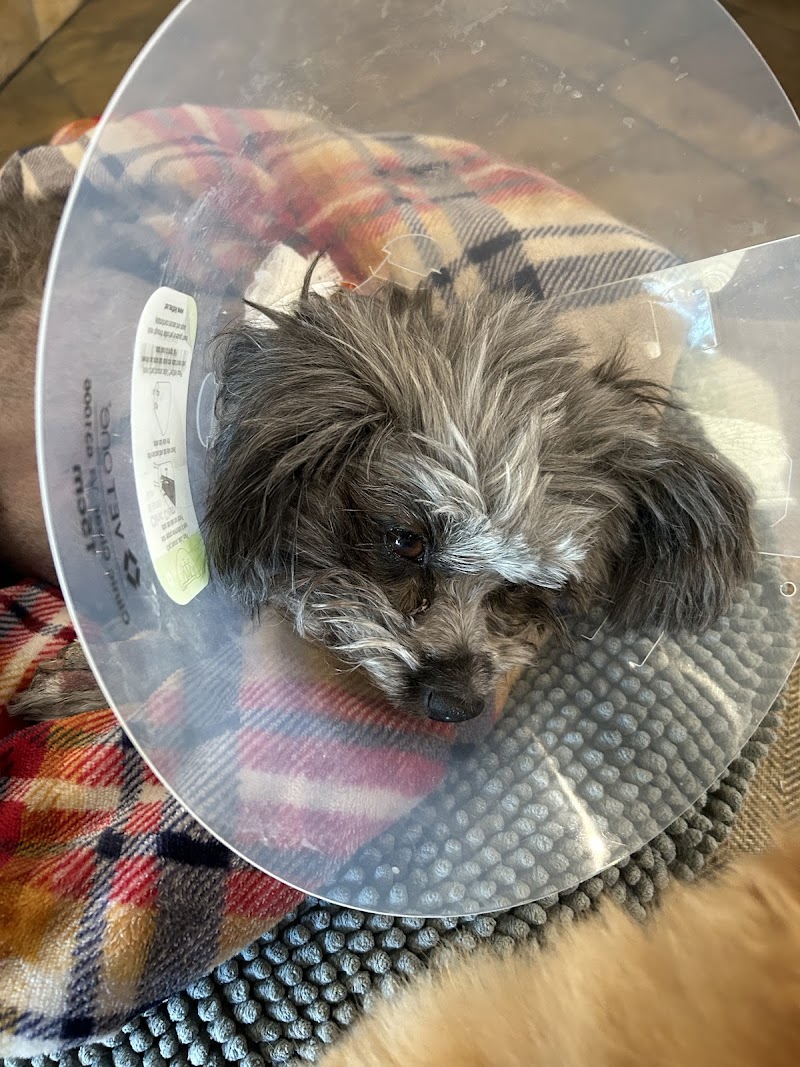 Veterinary Emergency Hospital of Midlothian