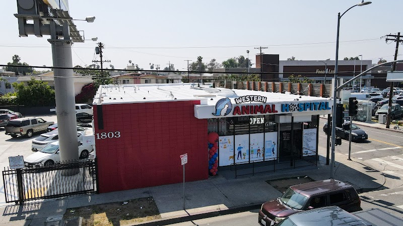 Western Animal Hospital