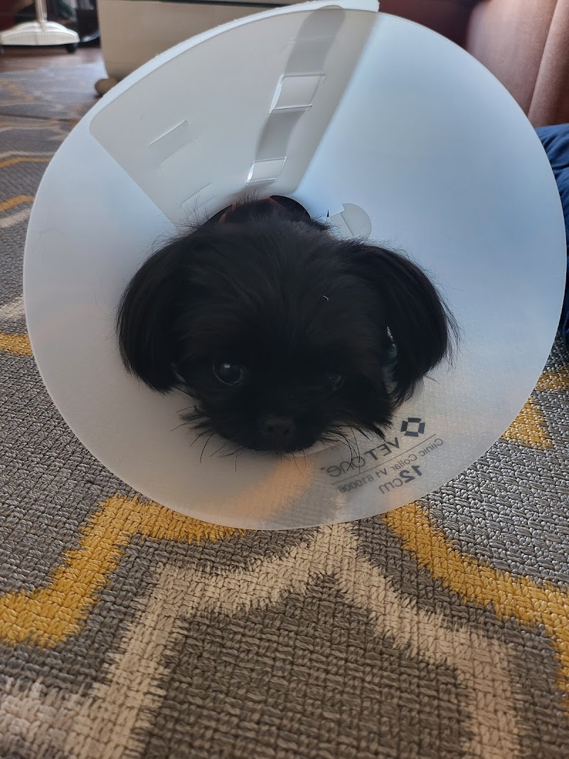 Western Animal Hospital