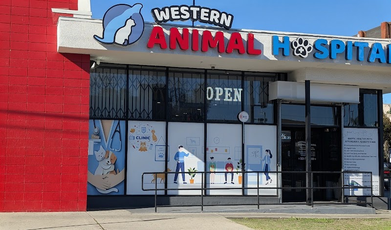 Western Animal Hospital