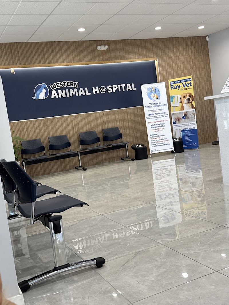 Western Animal Hospital