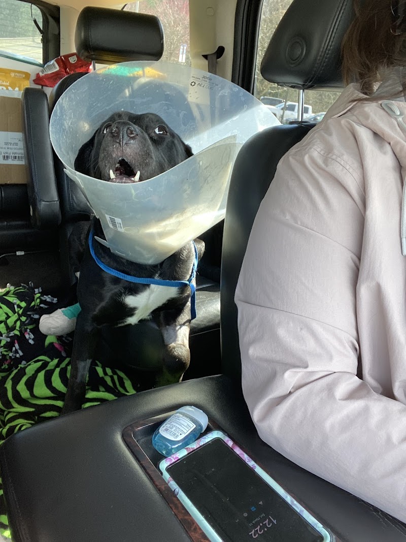 Olympia Pet Emergency