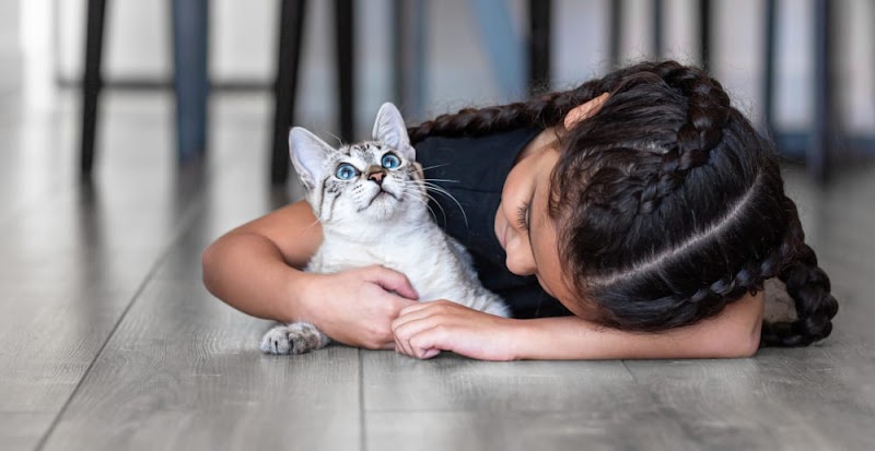 Olympia Pet Emergency