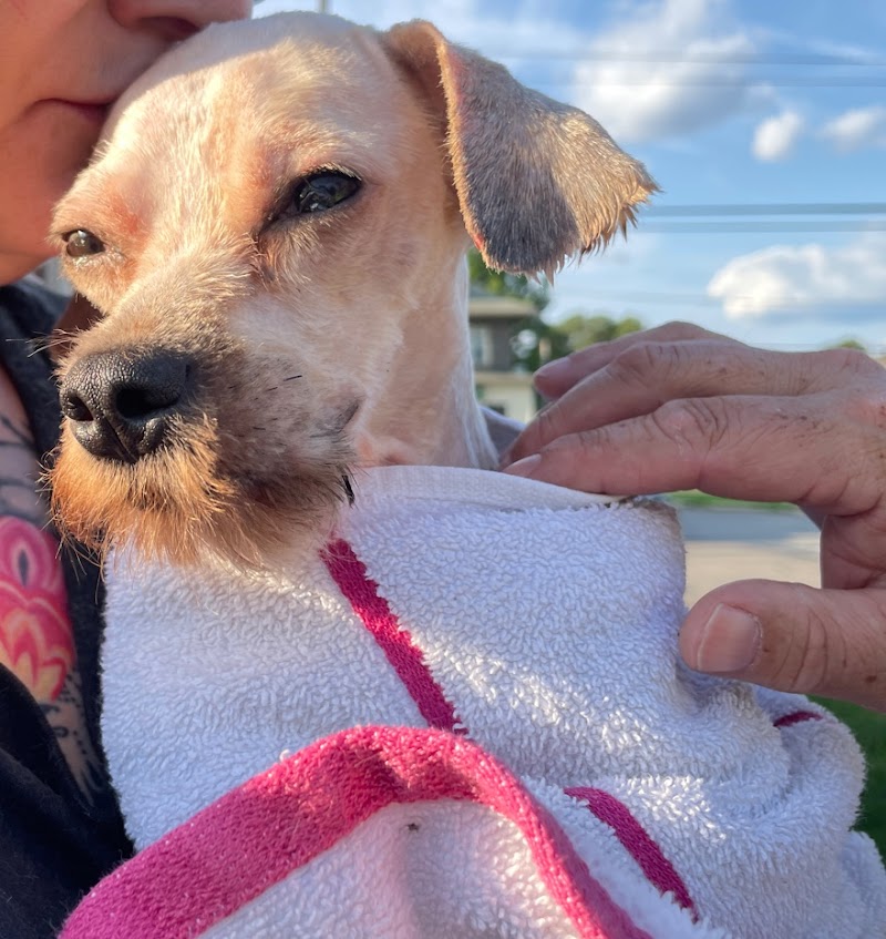 Keystone Veterinary Emergency & Referral, A Thrive Pet Healthcare Partner