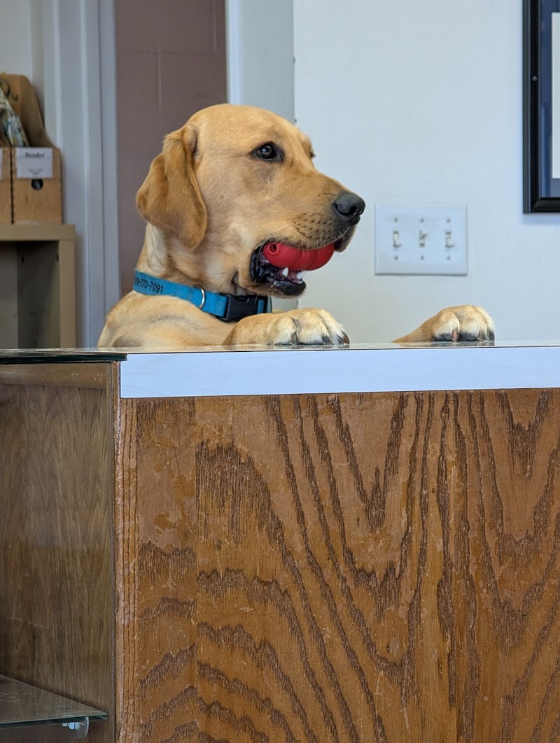 The Pet Hospital of La Mesa