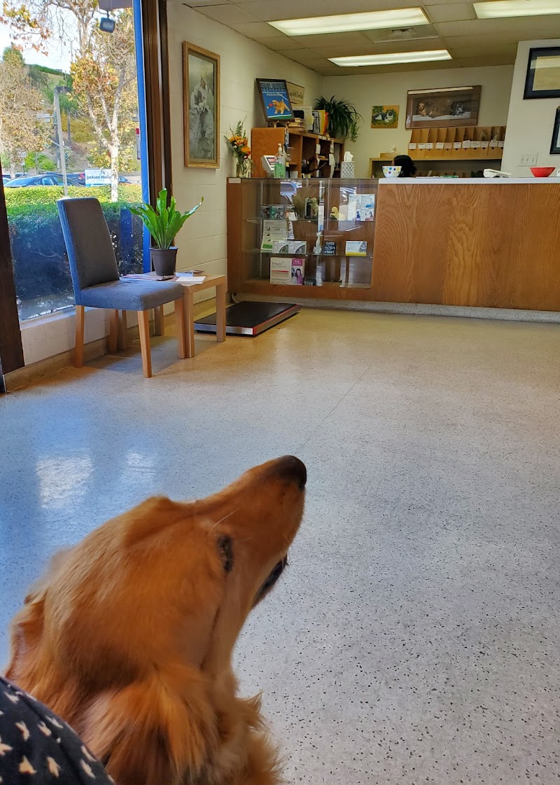 The Pet Hospital of La Mesa