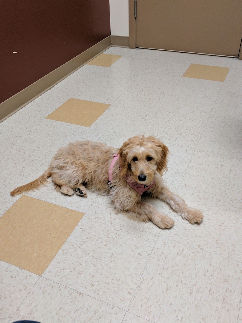 Lake Union Veterinary Clinic
