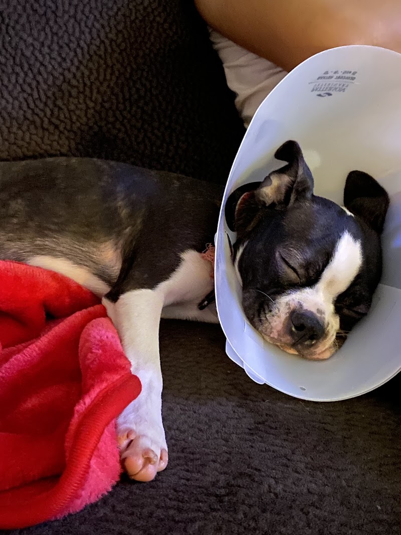 North Kenilworth Veterinary Care