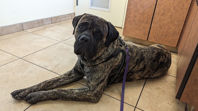 North Kenilworth Veterinary Care