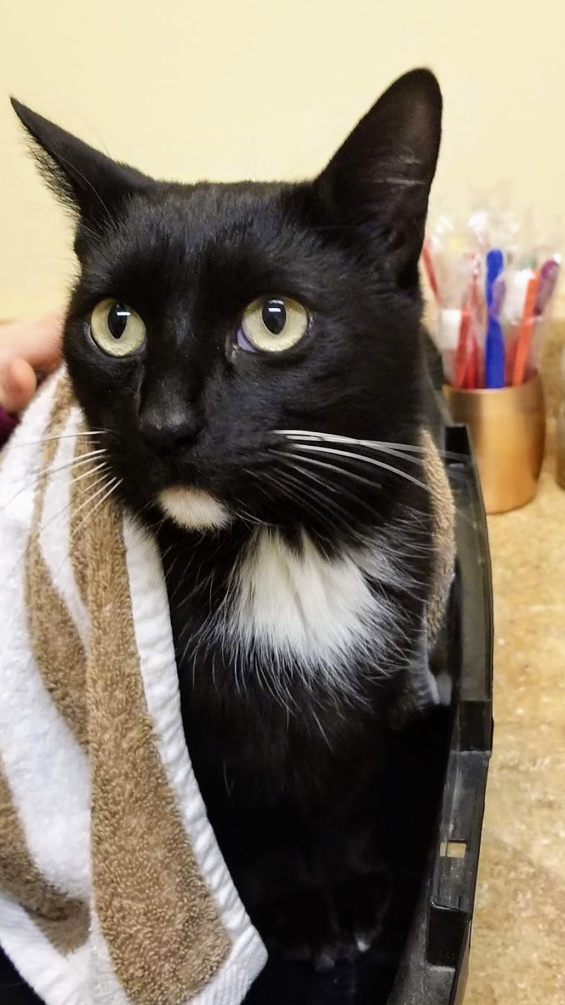 North Kenilworth Veterinary Care
