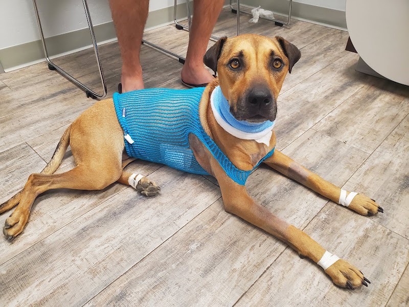 Phoenix Veterinary Referral & Emergency Center