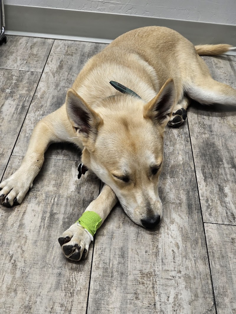 Phoenix Veterinary Referral & Emergency Center