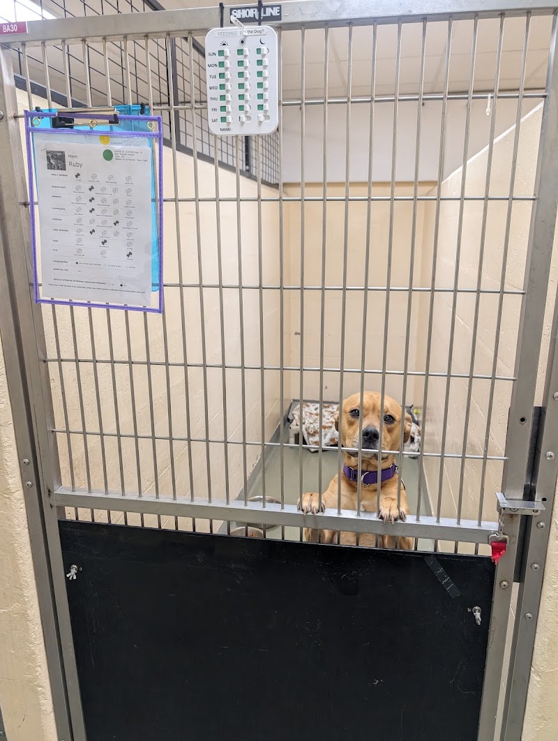 Boston Veterinary Care