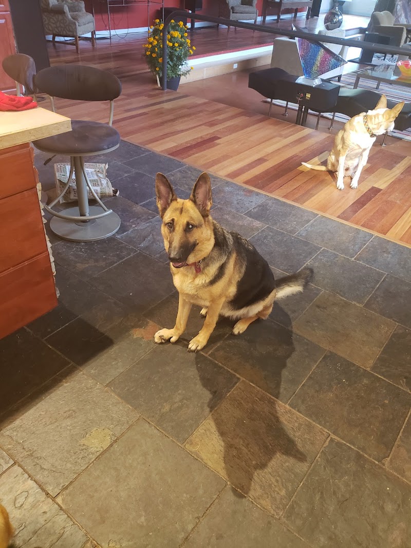 VCA Lovers Lane Animal Hospital