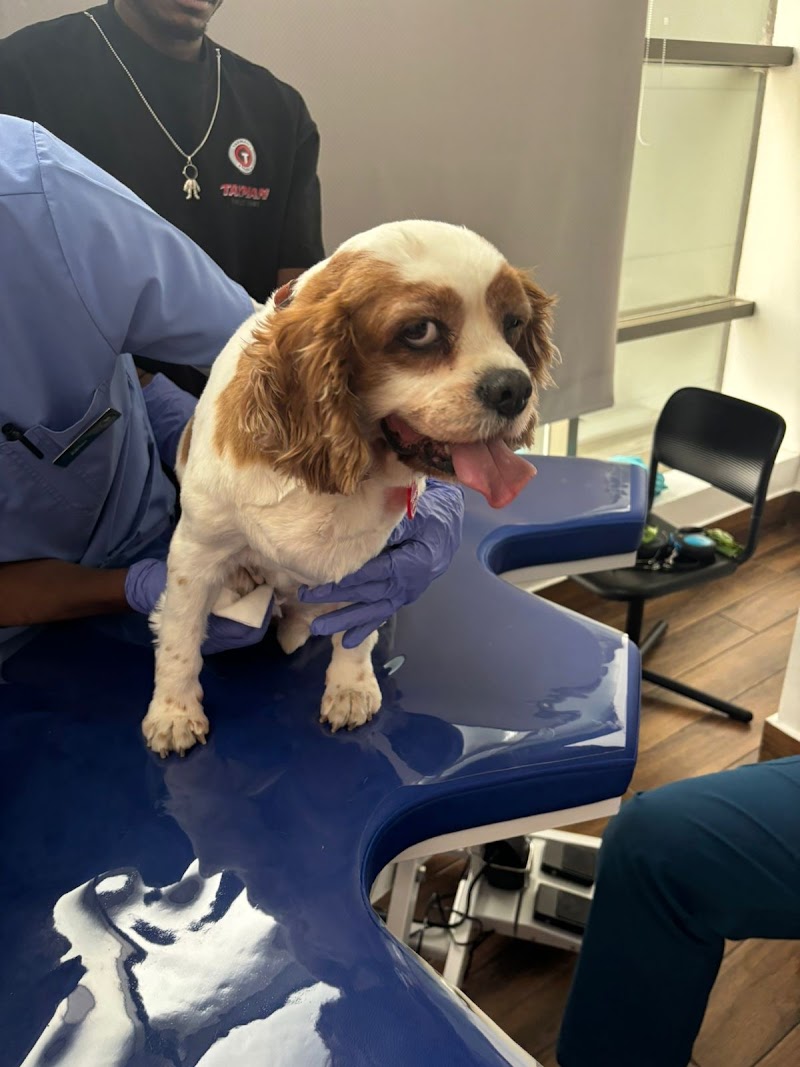 CardioVet Veterinary Clinic
