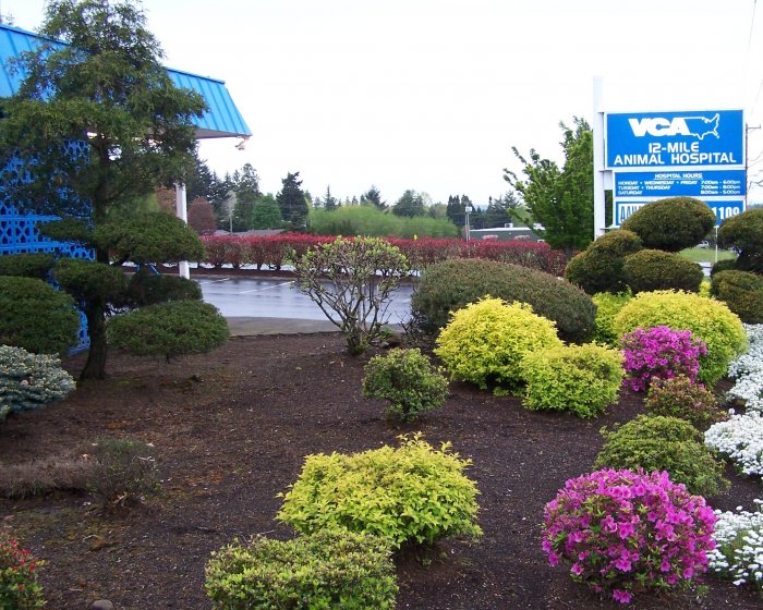 VCA 12-Mile Animal Hospital - Gresham