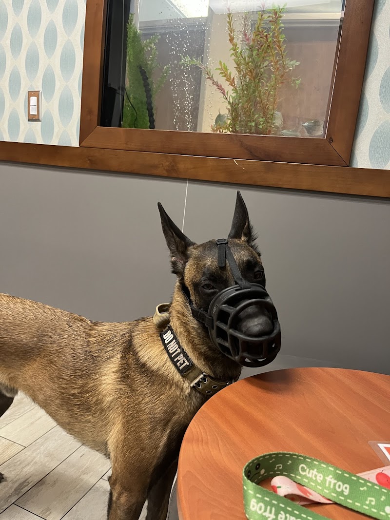 1st Pet Veterinary Centers - North Valley
