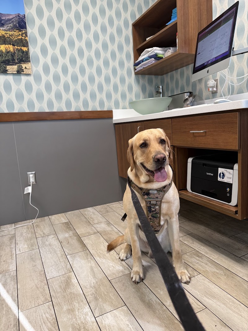 1st Pet Veterinary Centers - North Valley