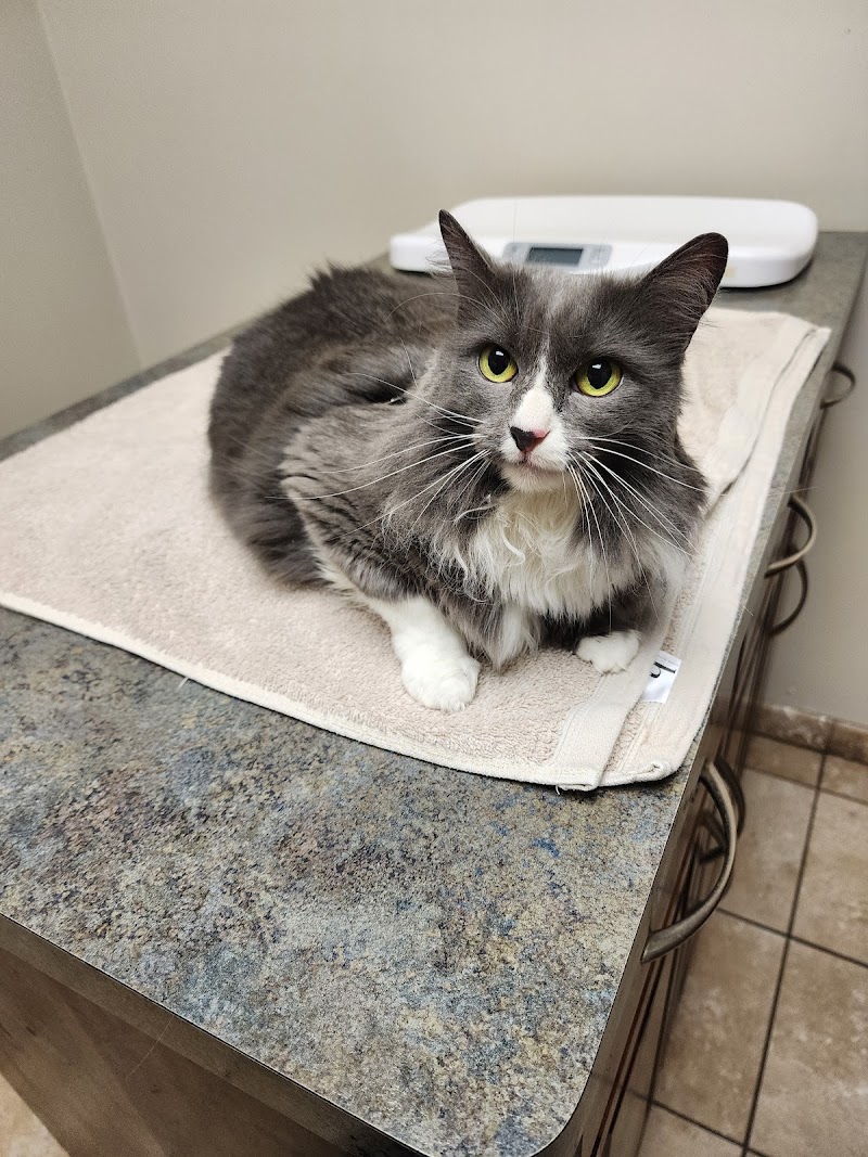 Tech Ridge Pet Hospital