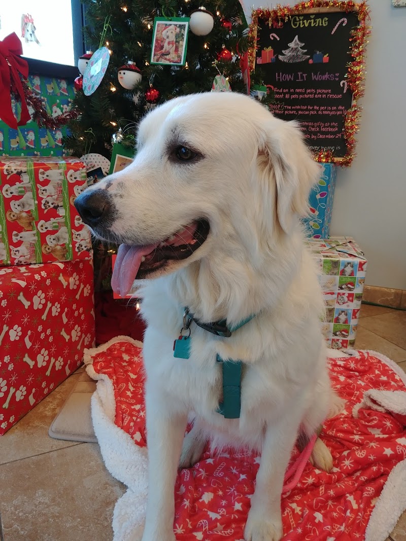 Tech Ridge Pet Hospital