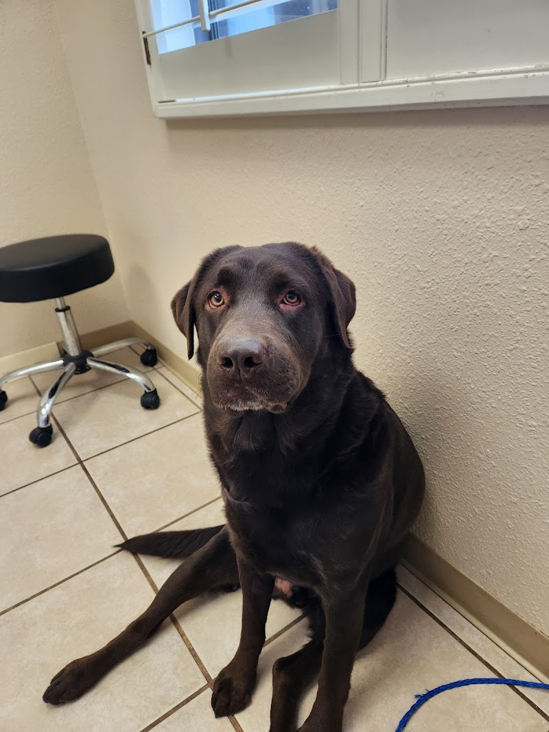 Spring Creek Animal Hospital