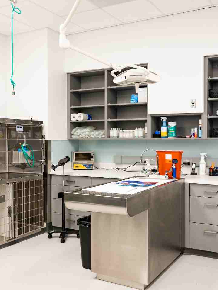 PetMedic Urgent Care Vet Clinic - Peabody