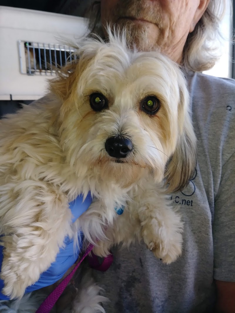 North Houston Veterinary Ophthalmology