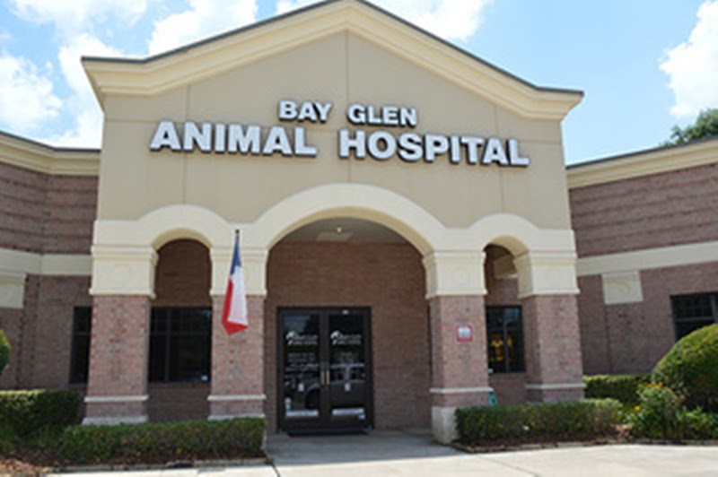 Bay Glen Animal Hospital