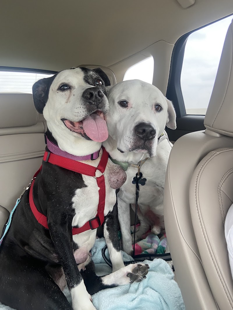Bay Glen Animal Hospital