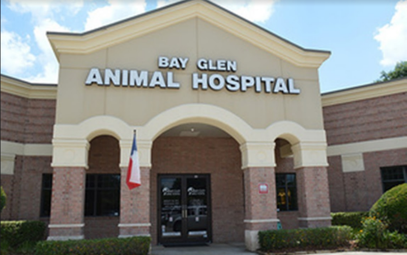 Bay Glen Animal Hospital