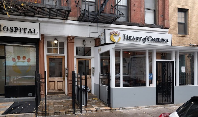 Heart of Chelsea Veterinary Group - Chelsea