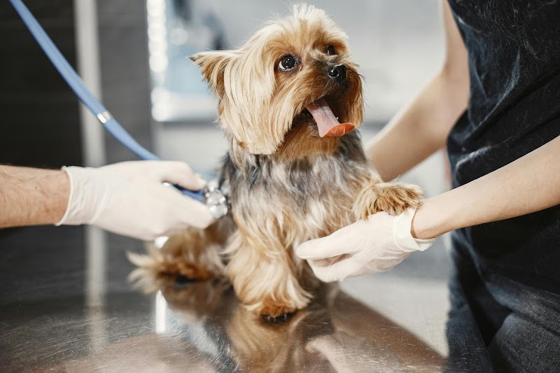 PAW CENTER Veterinary Hospital/Urgent Care