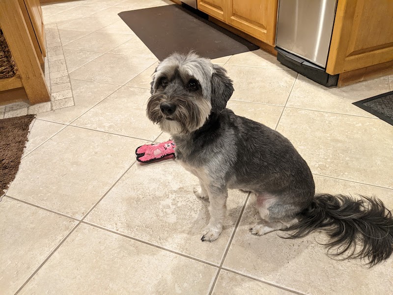PAW CENTER Veterinary Hospital/Urgent Care