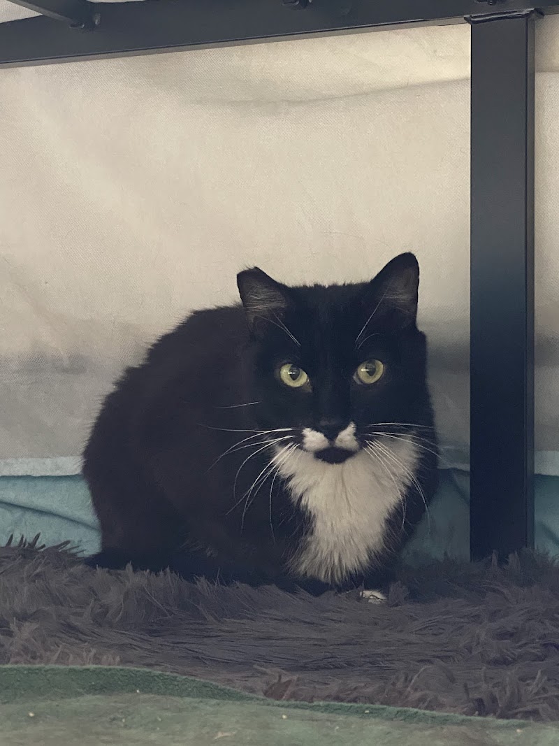 PAW CENTER Veterinary Hospital/Urgent Care