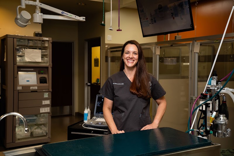 Four Seasons Veterinary Specialists